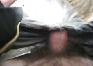 Hairy guy inserting his penis into animal's hole in a POV zoo video