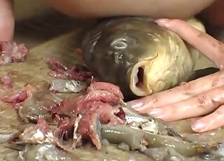 Squid eating taboo porn movie with a pervy Japanese zoophile girl